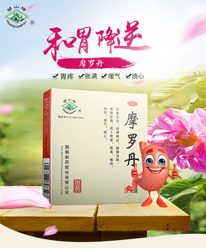摩罗丹 (华山牌)9g*9丸/盒