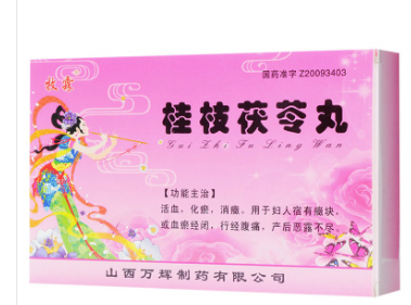 桂枝茯苓丸 4g*6袋/盒