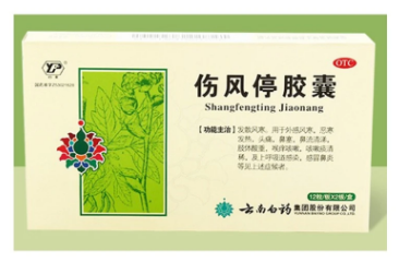 伤风停胶囊