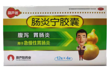 肠炎宁胶囊
