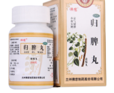 归脾丸(浓缩丸)