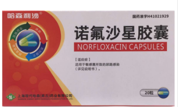 诺氟沙星胶囊     0.1g*10粒*2板/盒