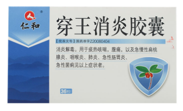 穿王消炎胶囊 0.4g*36粒/盒