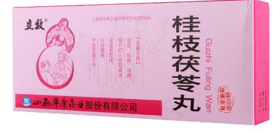 桂枝茯苓丸  6g*10丸/盒