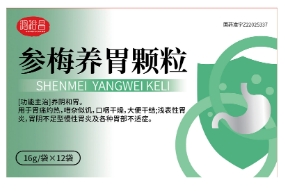 参梅养胃颗粒   16g*12袋/盒