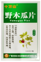 野木瓜片    0.42g*100片/瓶/盒